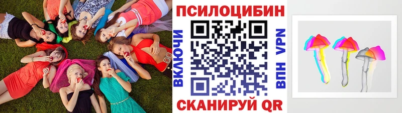 где можно купить наркотик  Емва  Псилоцибиновые грибы Psilocybine cubensis 